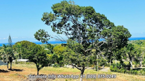 photos for SOSUA: LOT WITH 2,300 M² (0.568 acre) AND FANTASTIC PANORAMIC SEA VIEWS